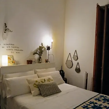 Apartment Cozy Flat In Old Town Valencia